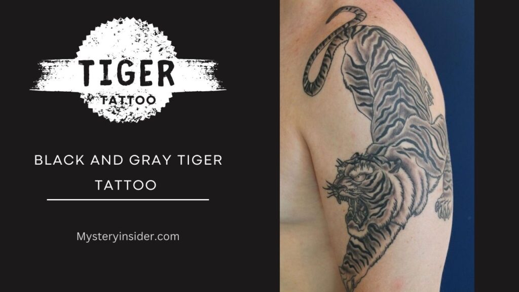 Image of Black and Gray tiger tattoo 