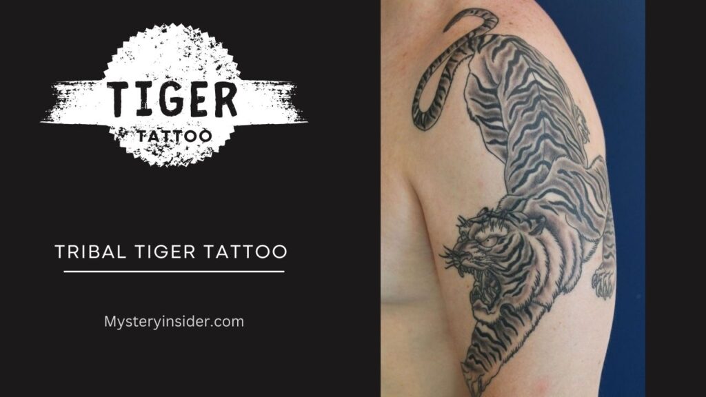 Image of Tribal tiger tattoo 