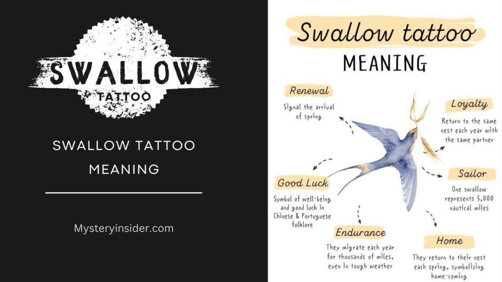 Image of swallow tattoo meaning